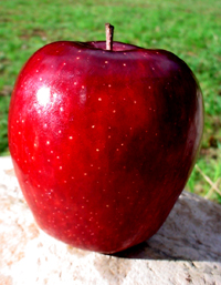 apple.jpg