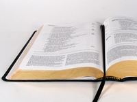 bible