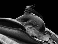 941483_92703372